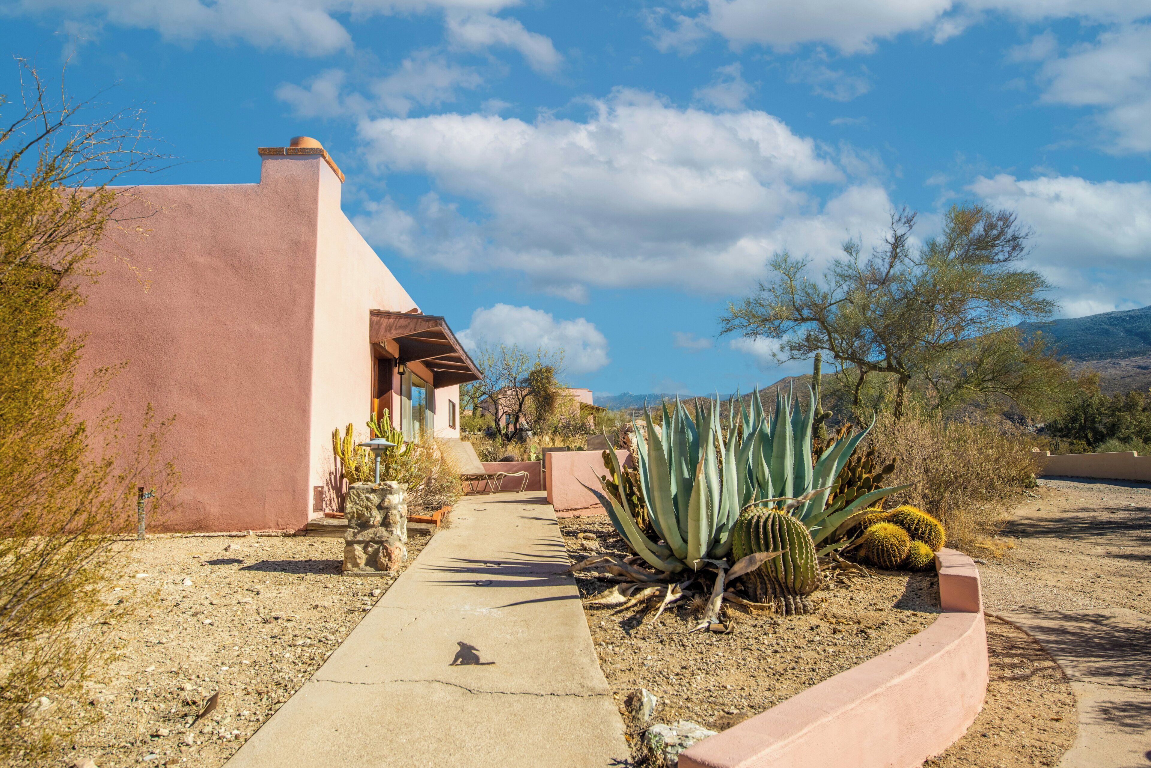 A desert landscape with a pink building, a concrete pathway, and various cacti.