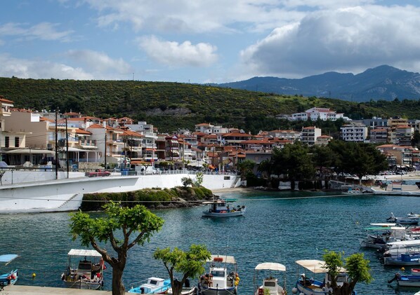 Vista des de l'allotjament