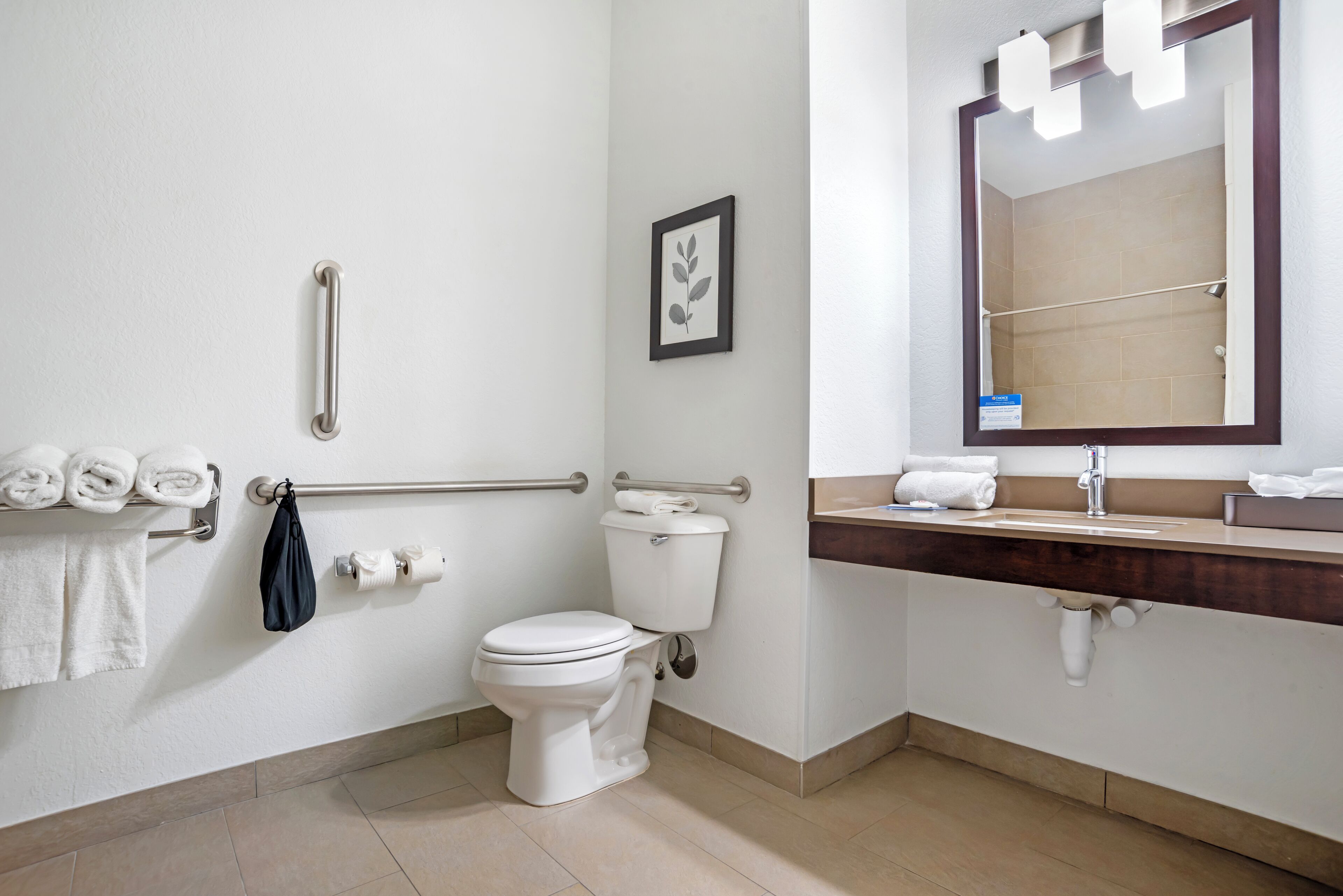 suite, 1 king bed with sofa bed, accessible, non smoking | bathroom | free toiletries, hair dryer, towels, soap