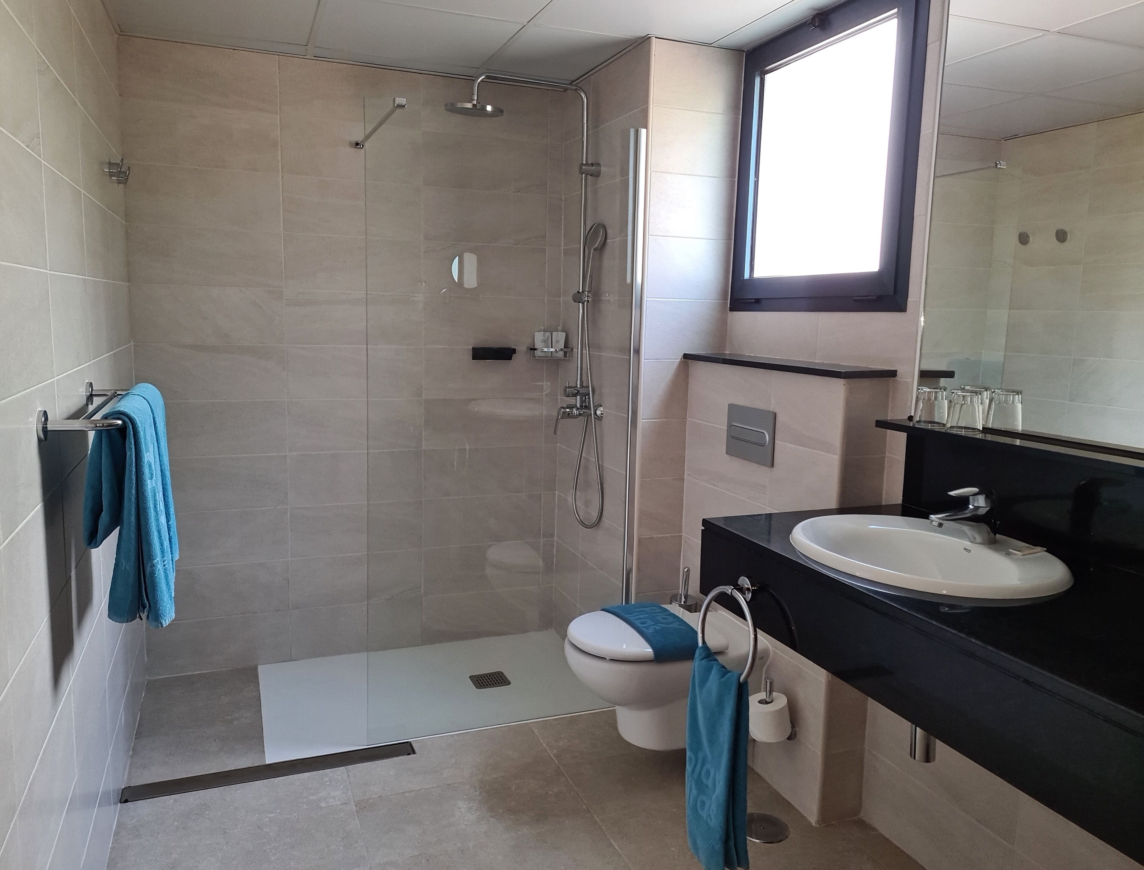 combined shower/bathtub, hair dryer, towels