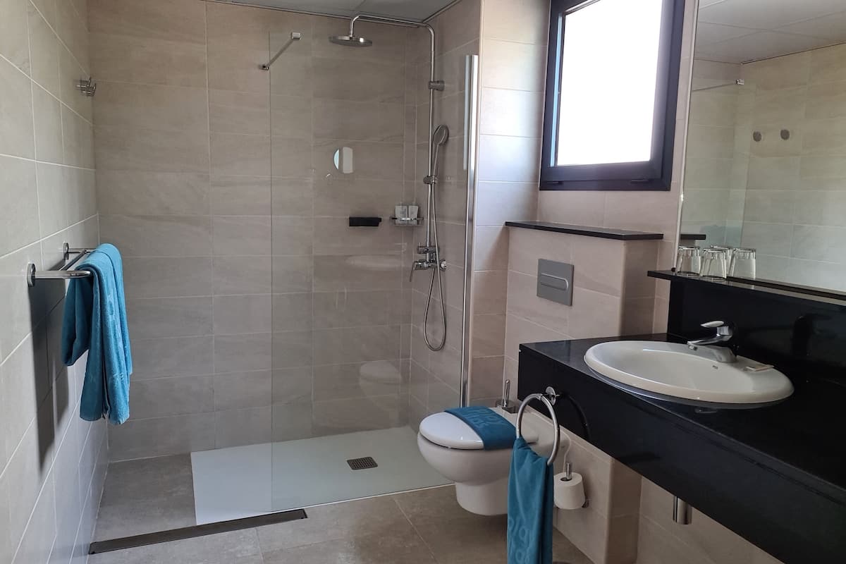 combined shower/bathtub, hair dryer, towels