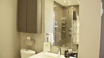 A modern bathroom with a toilet, sink, and shower area.
