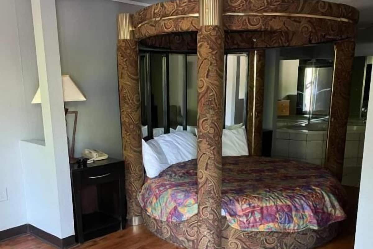 A circular bed with a patterned headboard in a room with wooden flooring and a nightstand with a lamp.