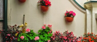 Hotel Andino Real