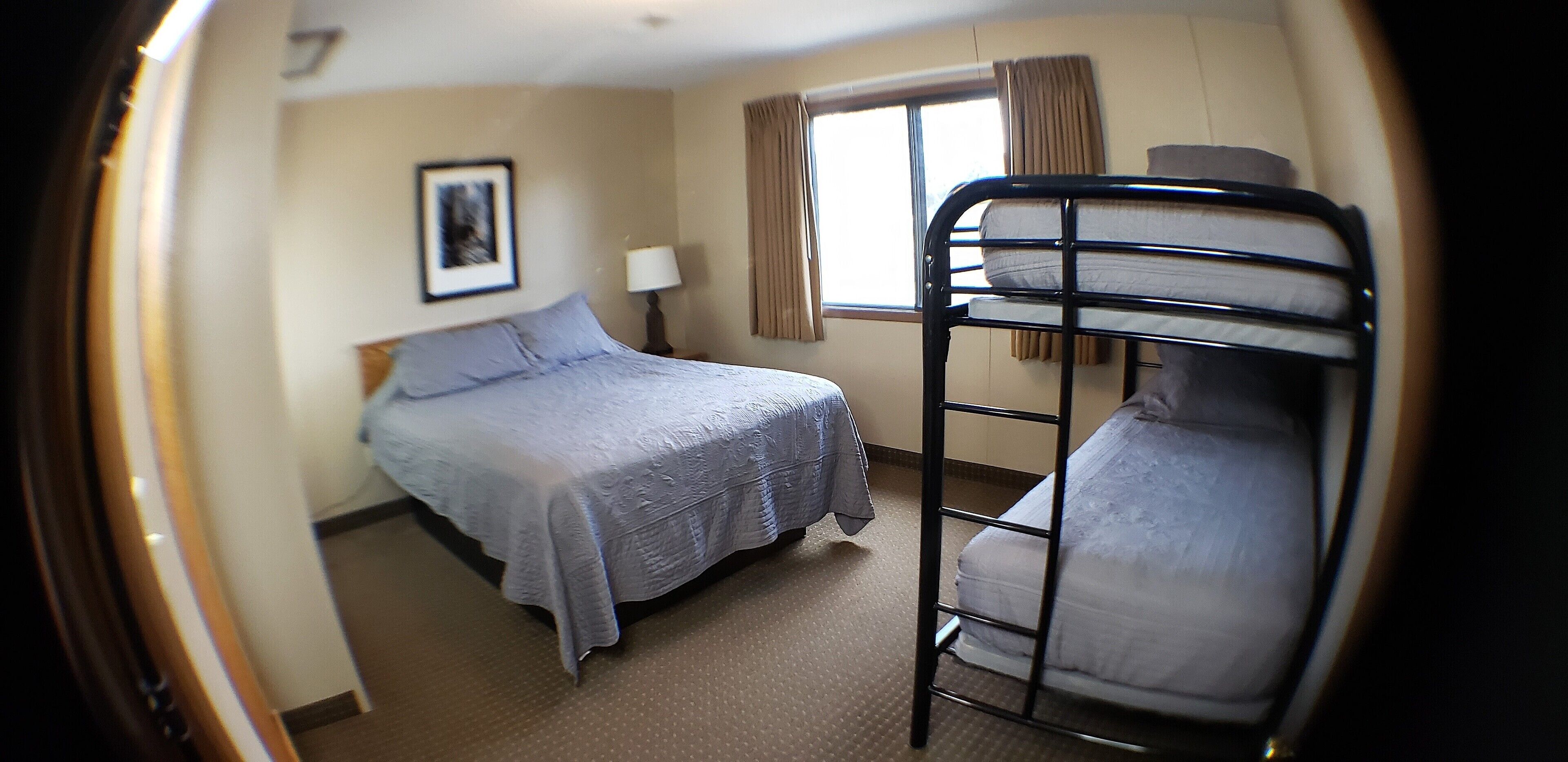A room with a bunk bed, a single bed, a framed picture on the wall, a window with curtains, and a lamp.