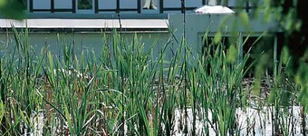 Moorland Hotel Am Senkelteich