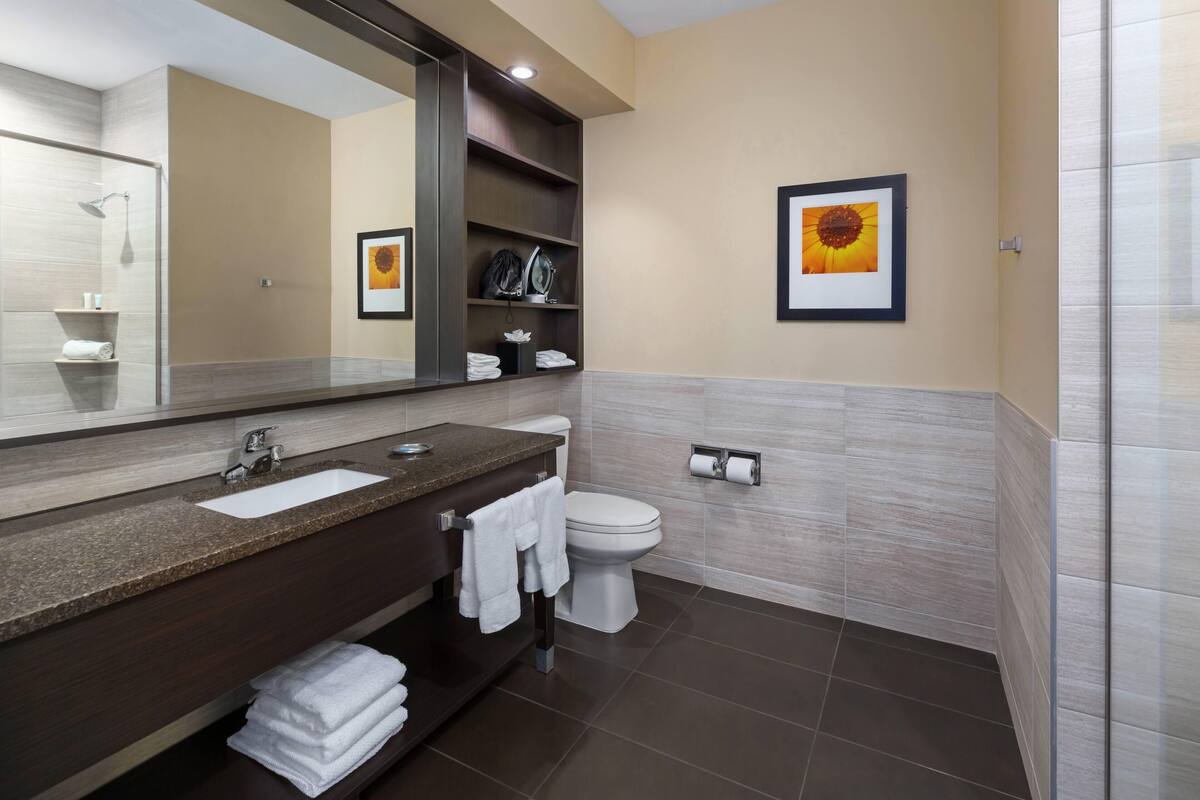 hydromassage showerhead, free toiletries, hair dryer, towels