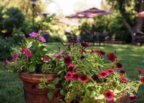 Courtyard - Fiddler's Inn (Carlsbad)