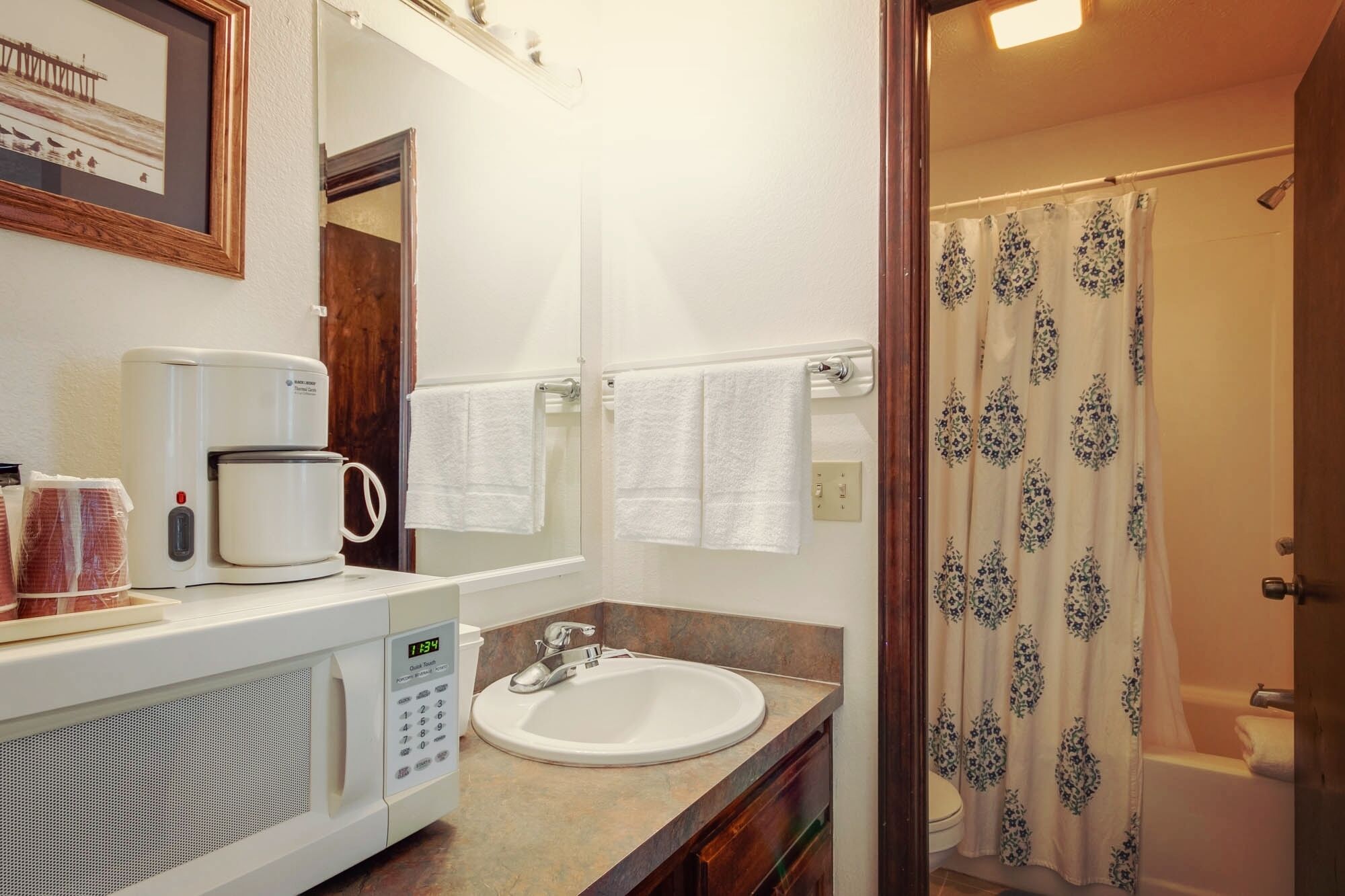 A bathroom with a sink, a coffee maker, and a shower curtain.