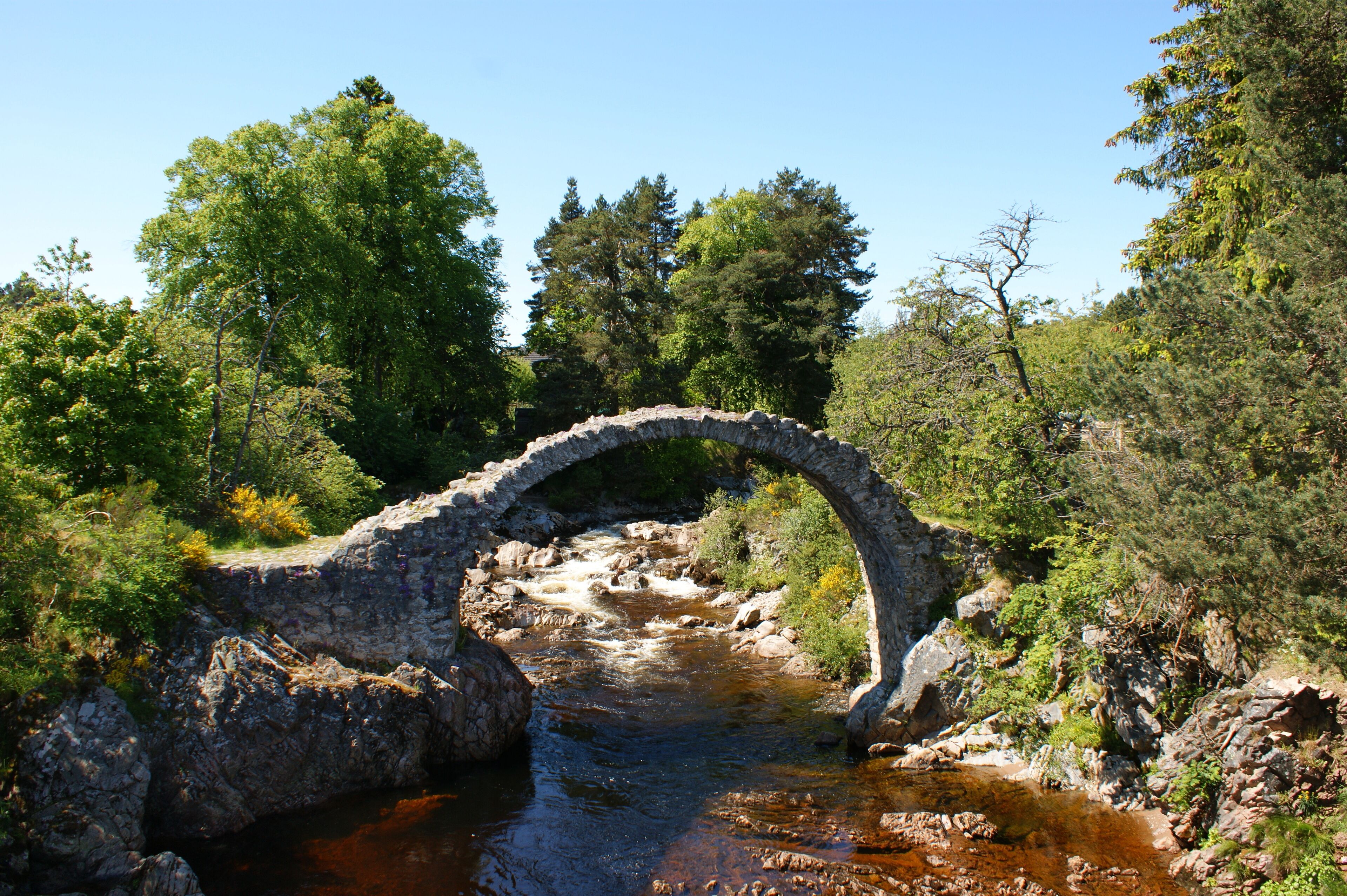 Un puente de piedra sobre un río, rodeado de abundante vegetación.
