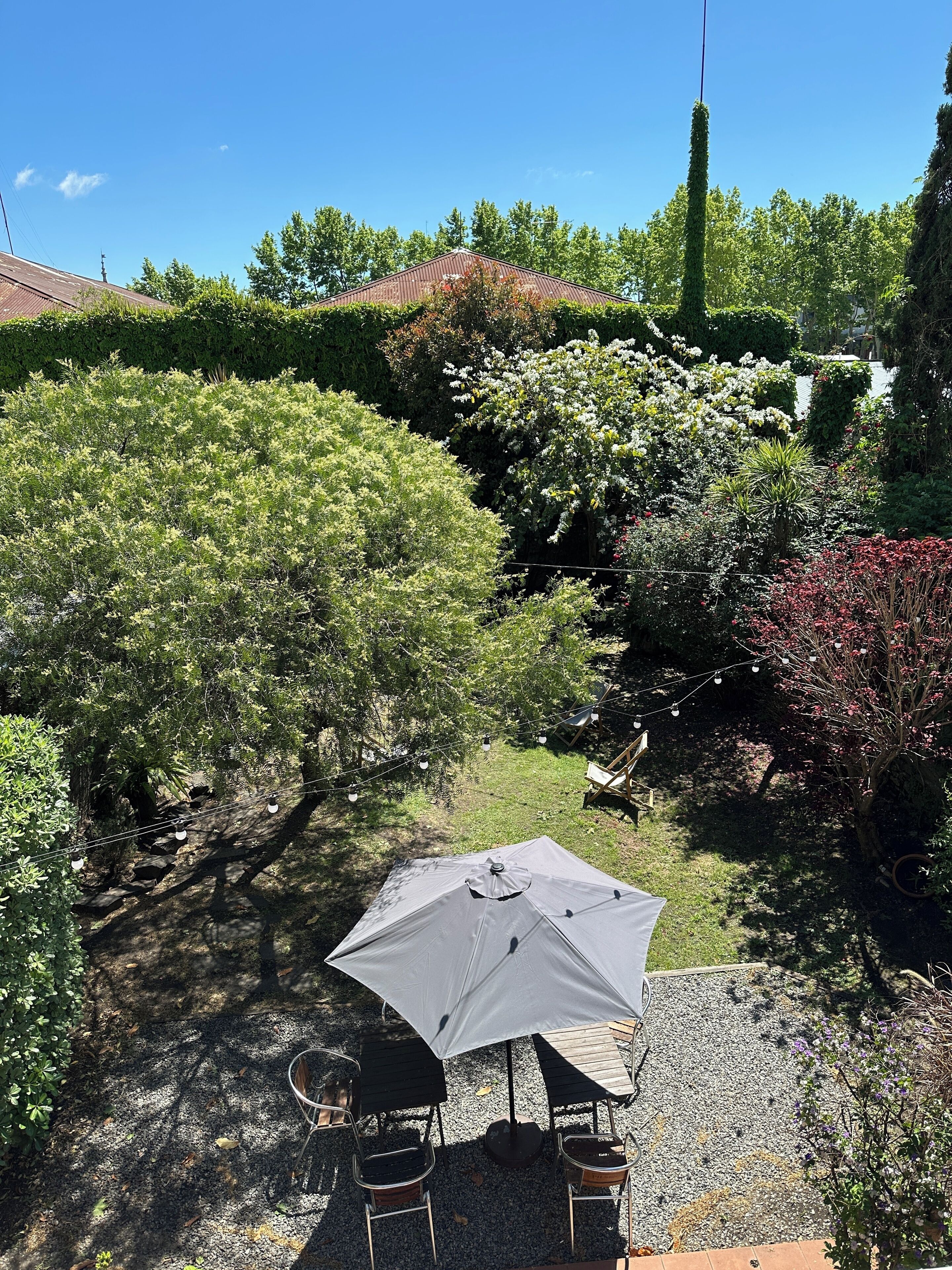 A patio area with a table and chairs under a large umbrella, surrounded by lush greenery and a tall tree.