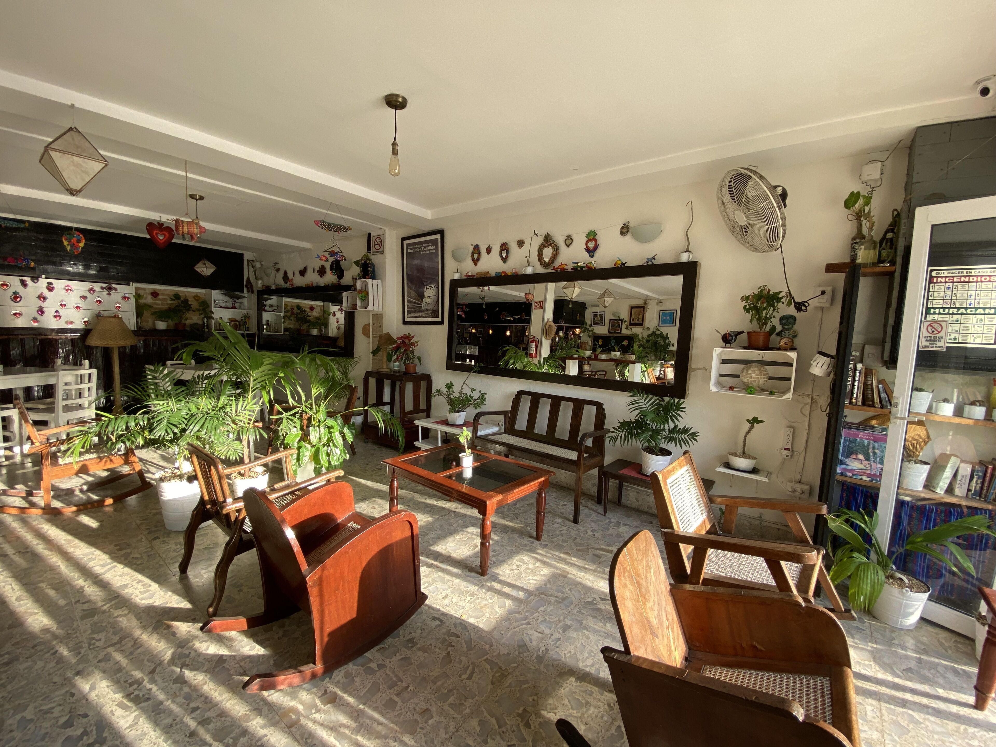 A cozy living room with a fireplace, comfortable seating, and various plants.