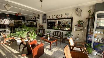 A cozy living room with a fireplace, comfortable seating, and various plants.