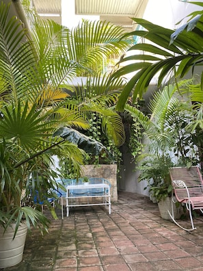 Courtyard - Hotel La Piazzetta (Mérida)