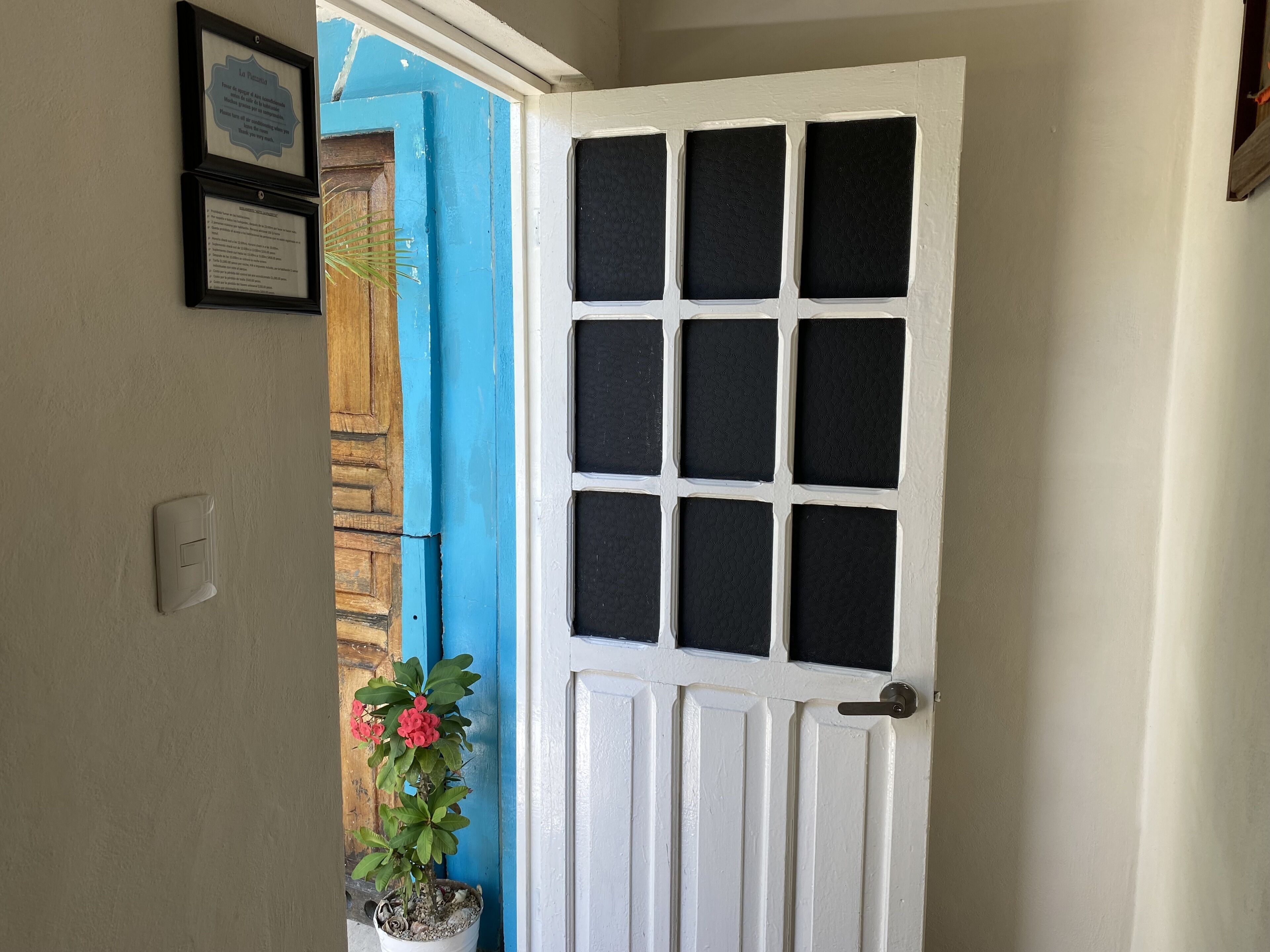A white door with a grid pattern, a blue door frame, and a potted plant with red flowers.