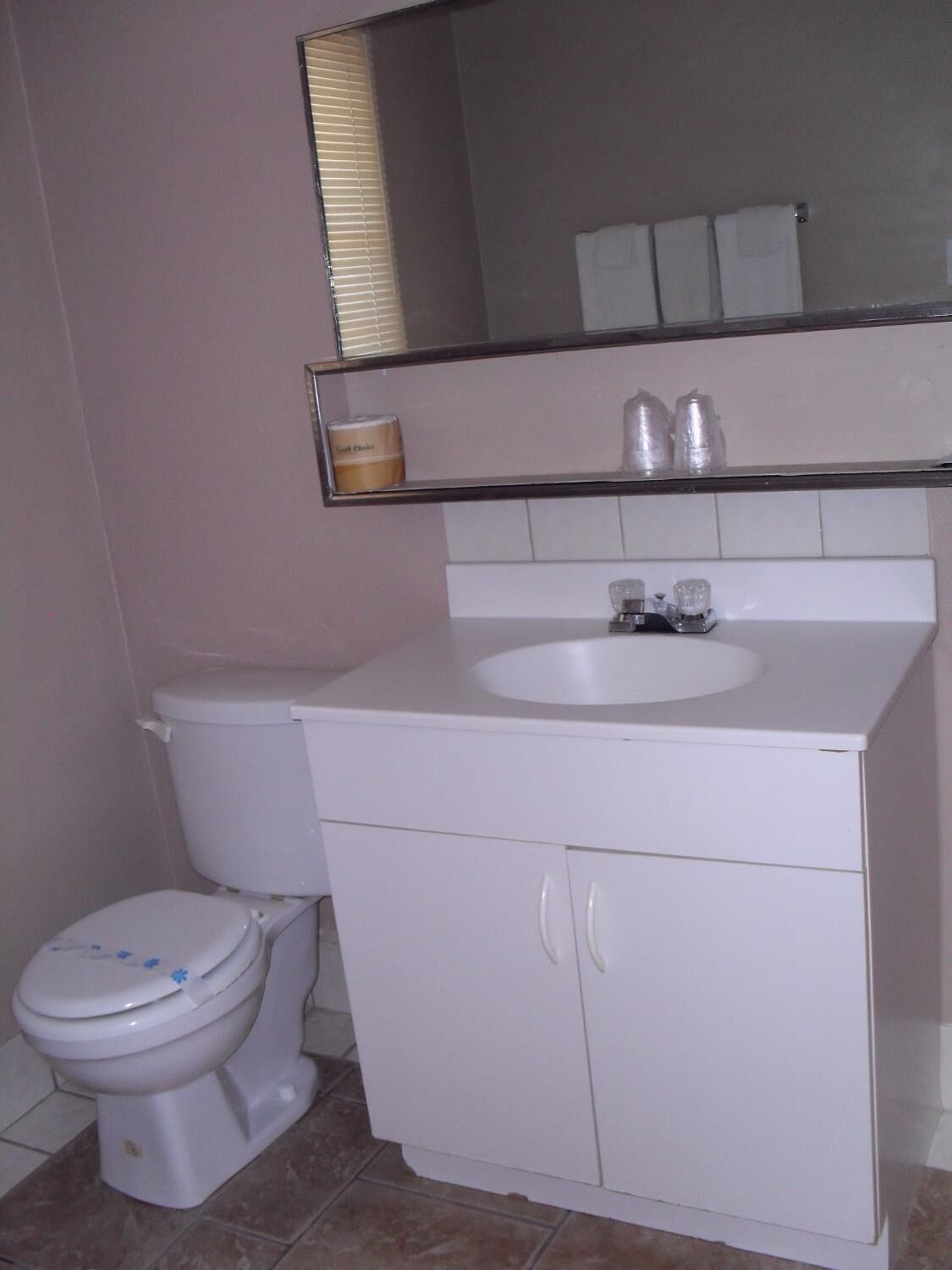Un baño con inodoro, lavabo y espejo.