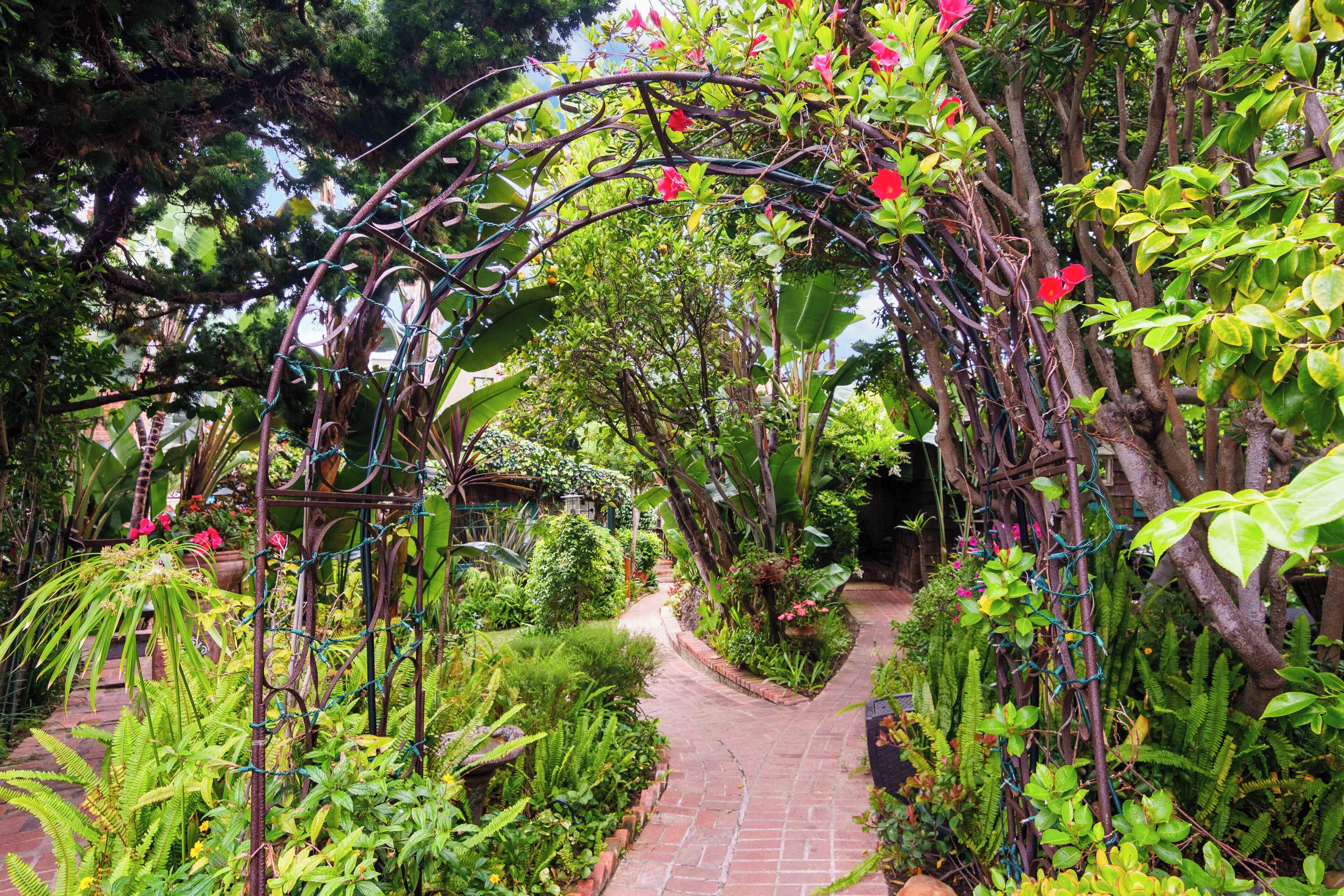 Un sentier de jardin agrémenté d’une arche en bois, entouré d’une végétation luxuriante et de différentes plantes.