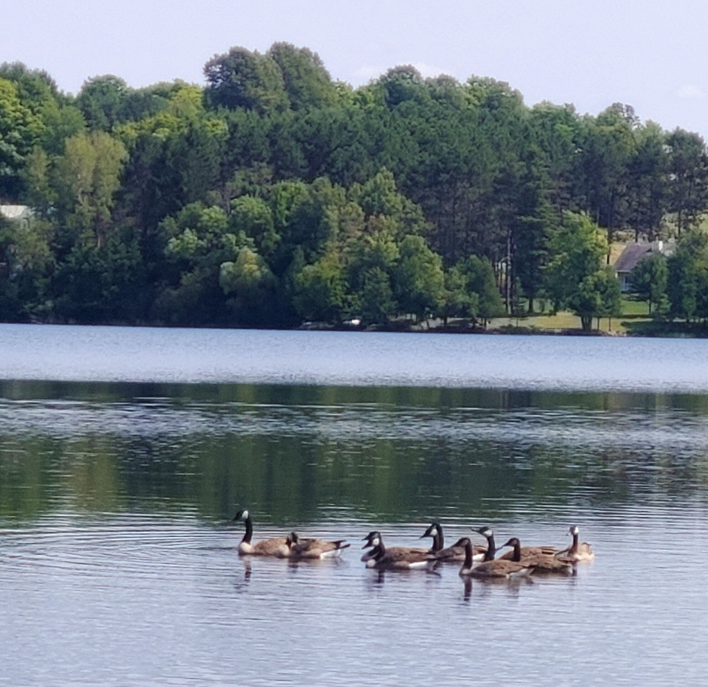På stranden, kajakkpadling, roing og fisking