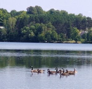 On the beach, kayaking, rowing, fishing