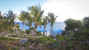 A coastal garden with palm trees, a beach, and a small structure with a blue roof.