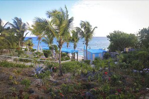 Garden - Serenity Cottages (Shoal Bay)
