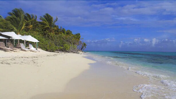 A beach with a building, palm trees, and clear blue water.