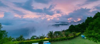 Cingjing Brilliant Twins of Seattle