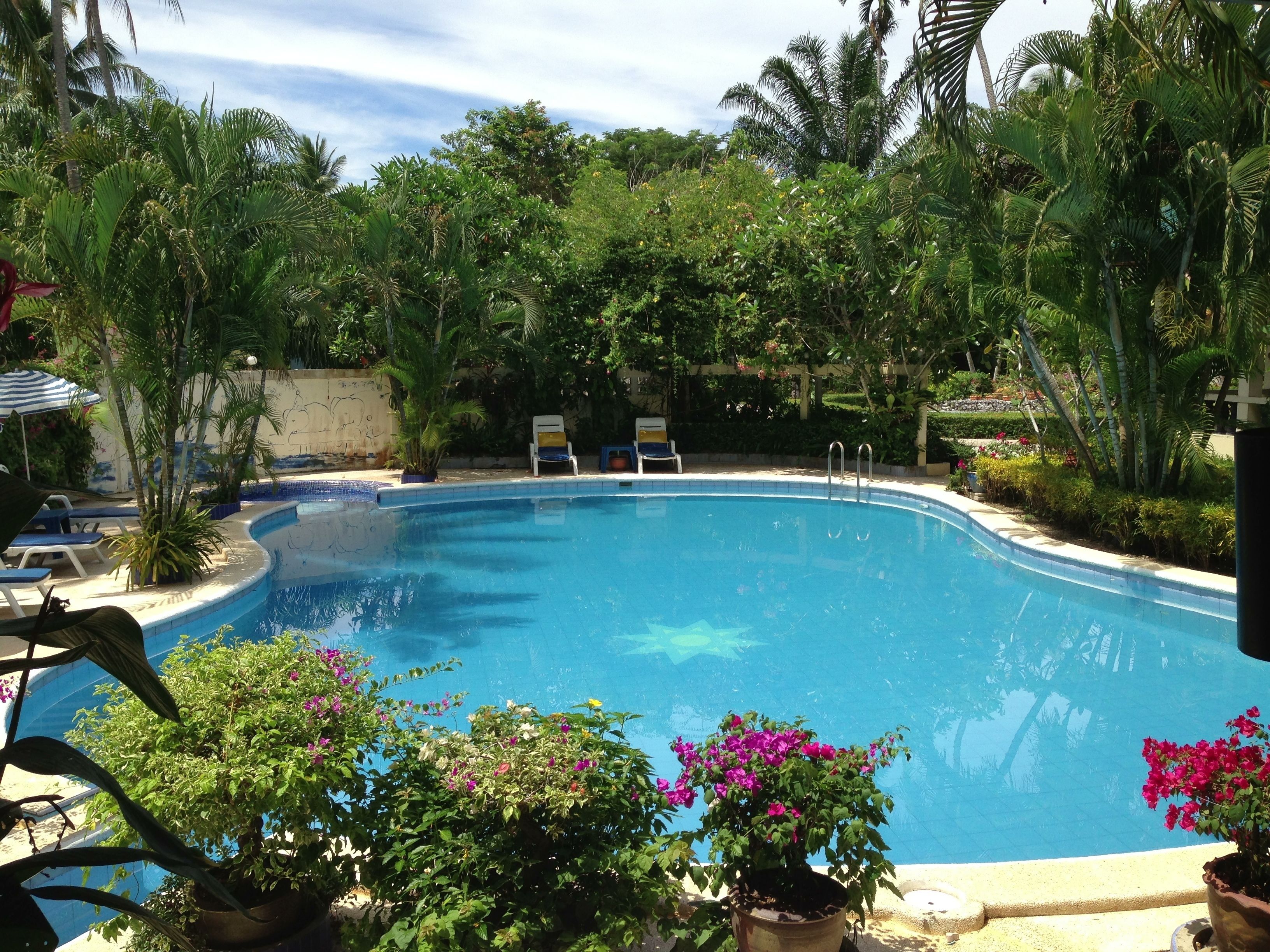 야외 수영장, 수영장 파라솔, 일광욕 의자