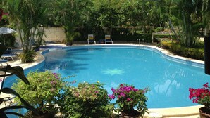 Una piscina rodeada de exuberante vegetación y plantas en macetas.