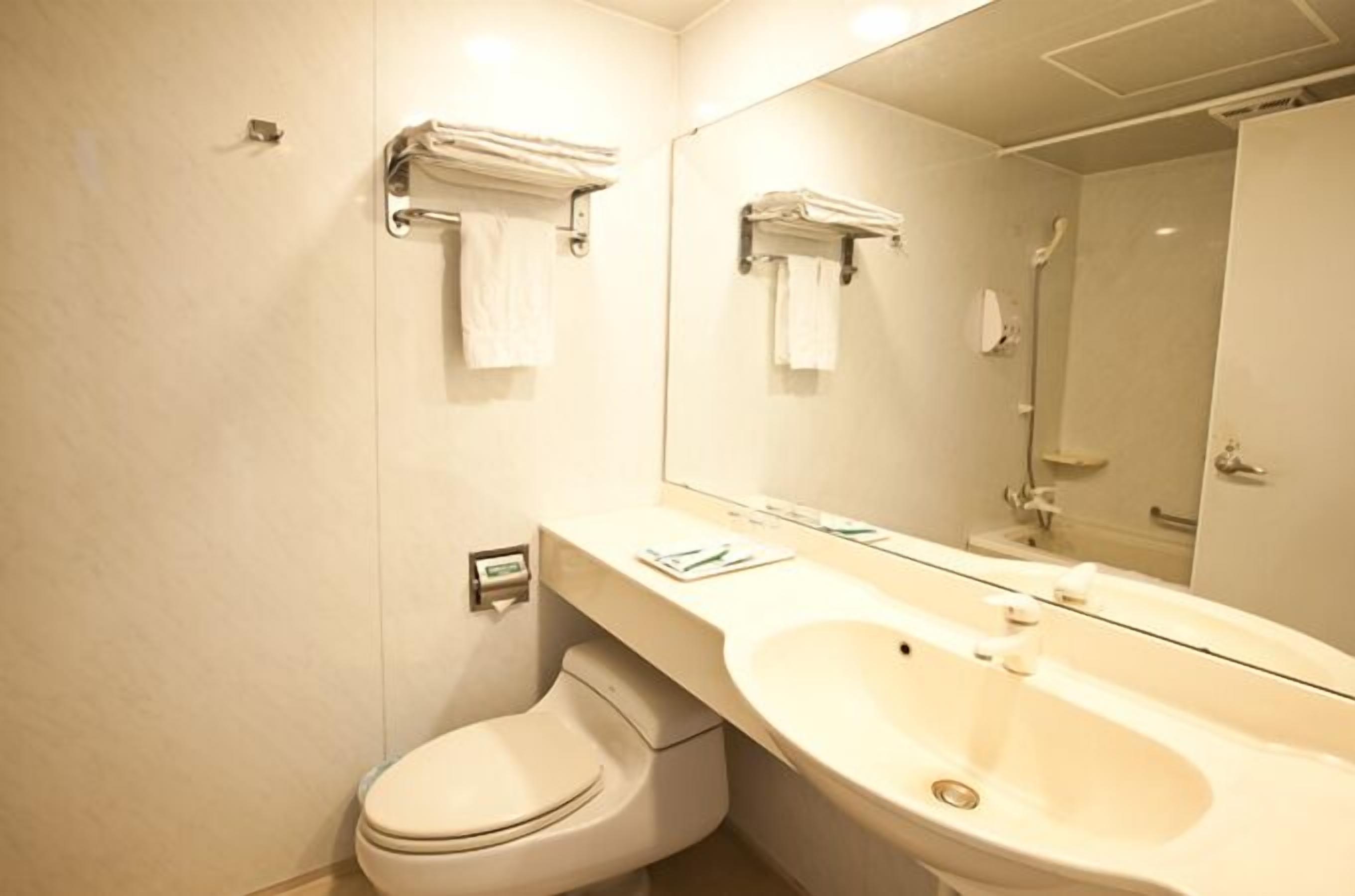 A bathroom with a toilet, sink, and mirror.