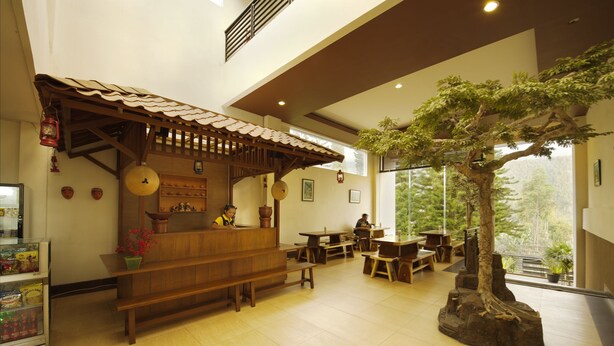 Un restaurant doté de meubles en bois, d’un comptoir de style asiatique traditionnel et d’une grande sculpture en forme d’arbre.