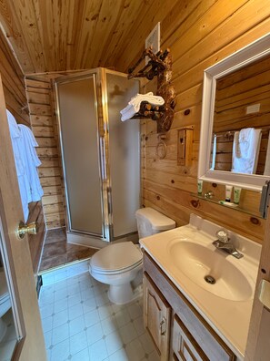 Suite, 1 Queen Bed | Individually decorated, individually furnished, blackout drapes - Earthsong Lodge (Healy)