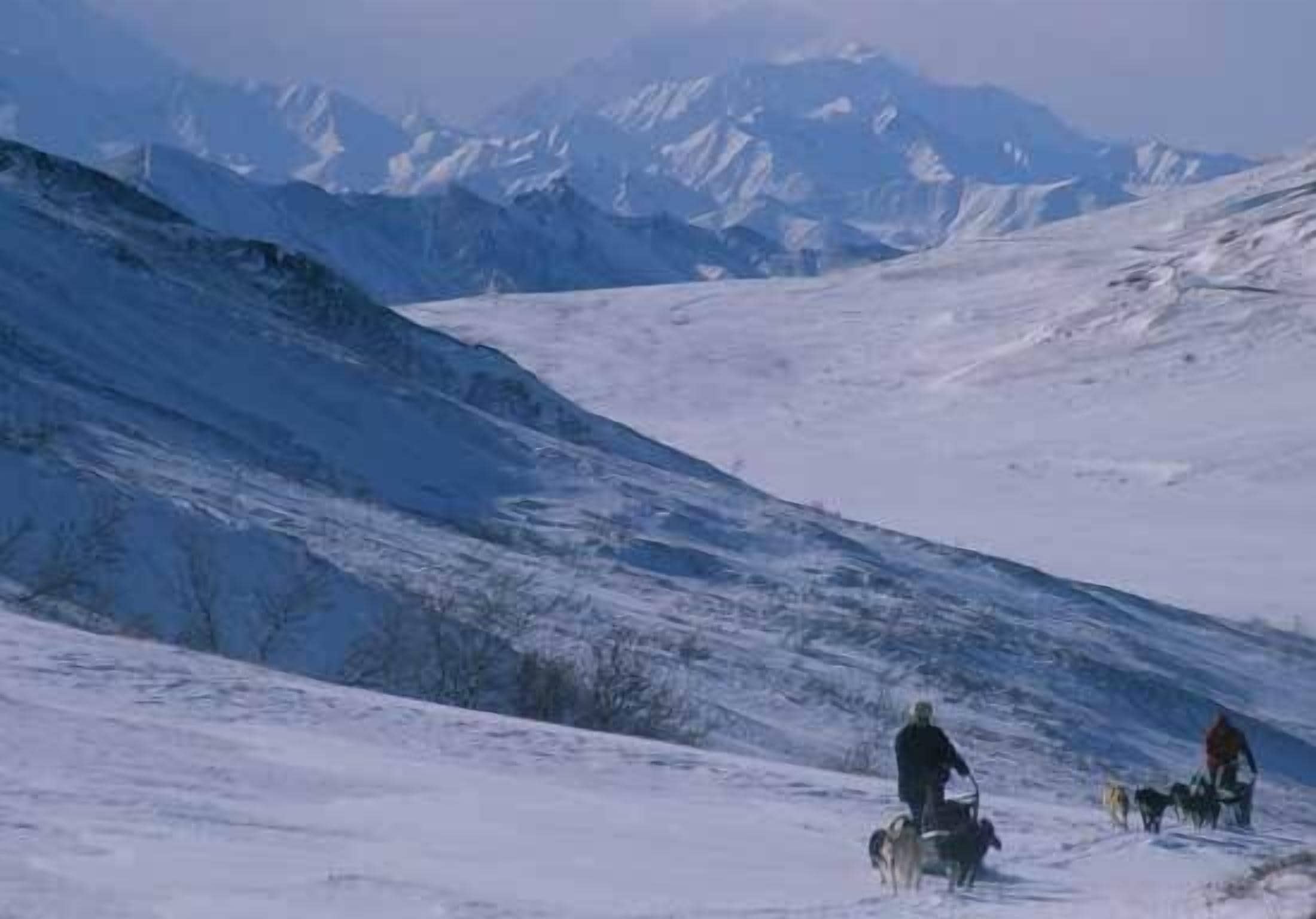 Un paysage de montagne enneigé avec un groupe de personnes et des chiens.