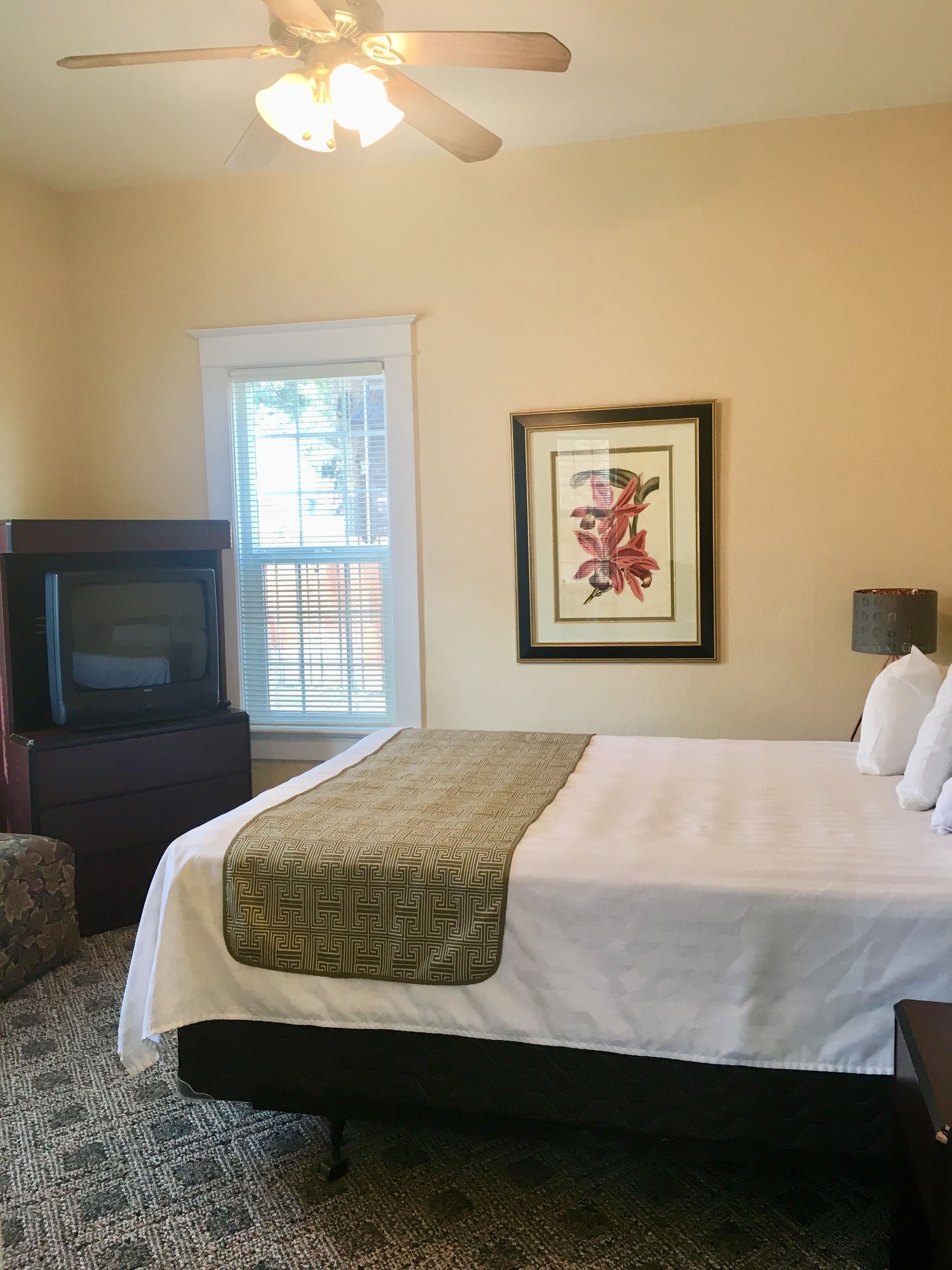 A hotel room with a bed, a television, a ceiling fan, a framed floral artwork, and a window with blinds.