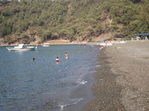 해변