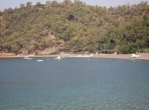 해변
