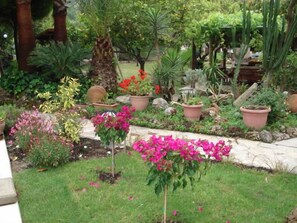 Terrain de l’hébergement 