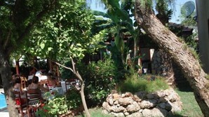 A patio area with a pool, surrounded by lush greenery and a stone wall.