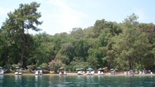 A lakeside area with clear water, surrounded by dense trees and a sandy beach with umbrellas and lounge chairs.