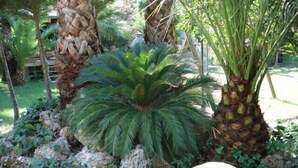 A garden with palm trees, a large cactus, and a stone planter.