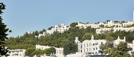 A hillside of white buildings with multiple balconies, surrounded by dense green trees.