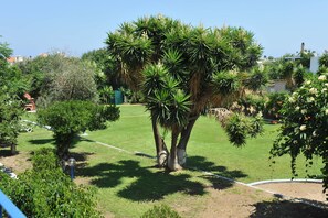 Property grounds - Maritime Hotel Aparts (Rhodes)