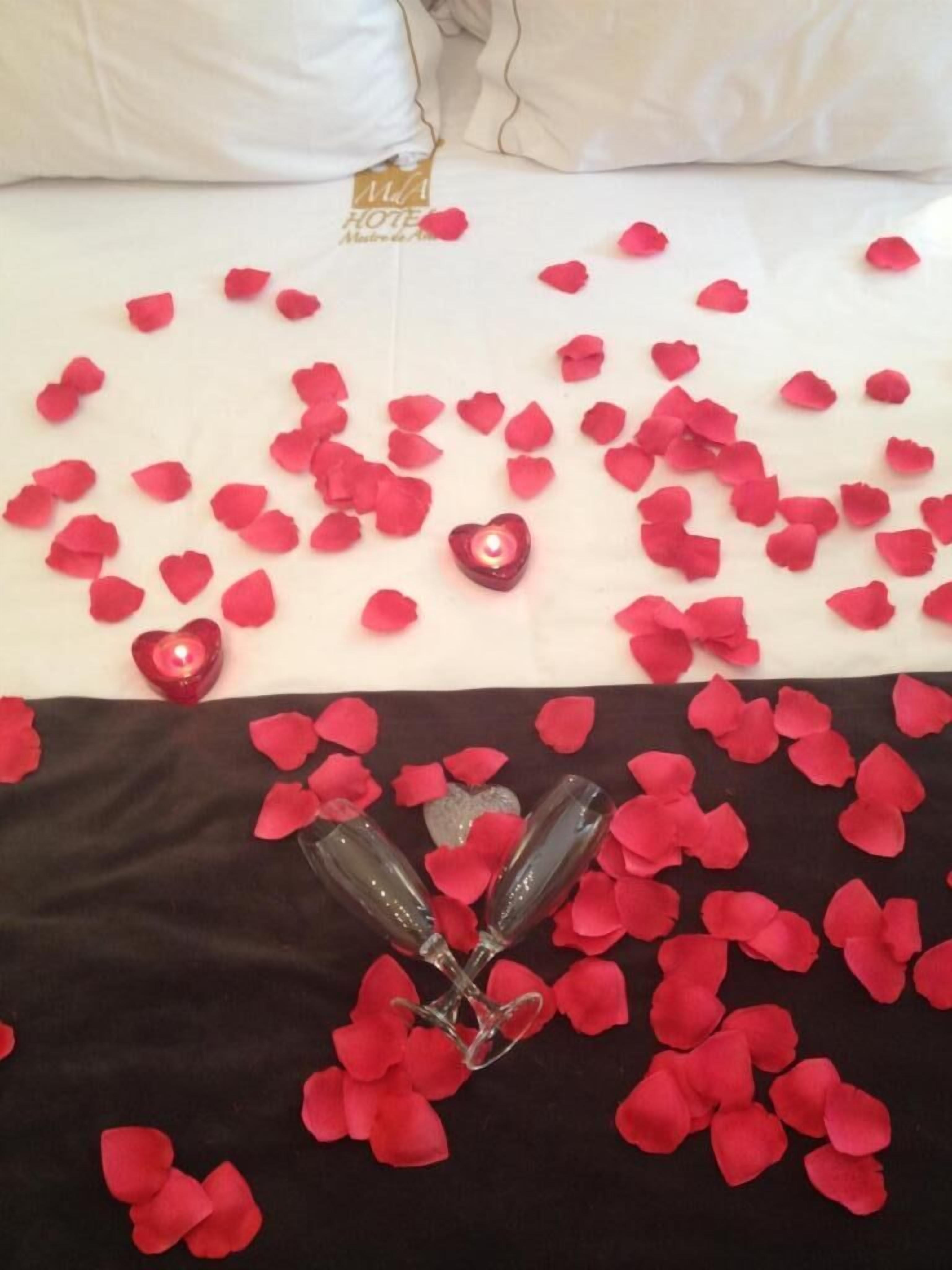 Foto - Hotel Mestre de Avis