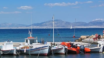 Vista desde la propiedad