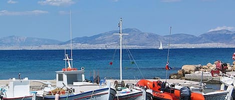 Vista desde la propiedad