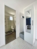 A modern bathroom with a glass-enclosed shower, a toilet, and a vanity with a mirror.