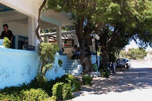 Property grounds - Blue Dolphin Studios & Apartment (Aegina)