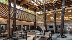An indoor/outdoor lounge area with seating arrangements, wooden beams, and large trees. - Baia Salima Kemer (Kemer)