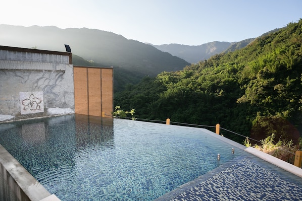 Villa, vue sur le parc | Piscine extérieure