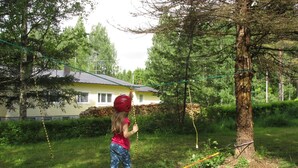 A child on a rope bridge in a grassy area with trees and a building in the background.